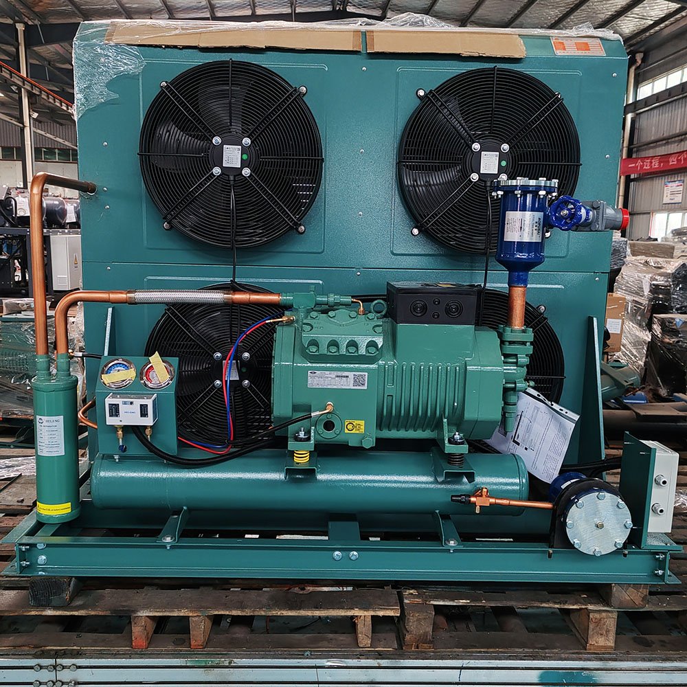 Freezing Drier Cooler Cold Storage 12V Open air Cooled Compressor Condensing Unit
