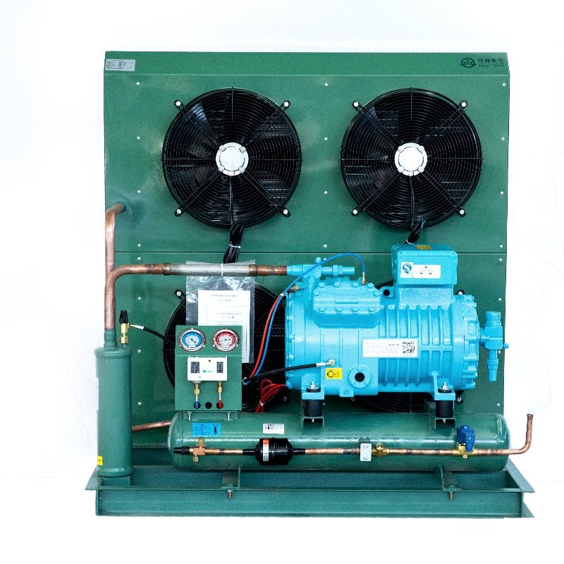 TianQiao Large Logistics Bitzer Walking Freezing Equipment Competitive Price Copeland Emerson Refrigeration Condenser Unit