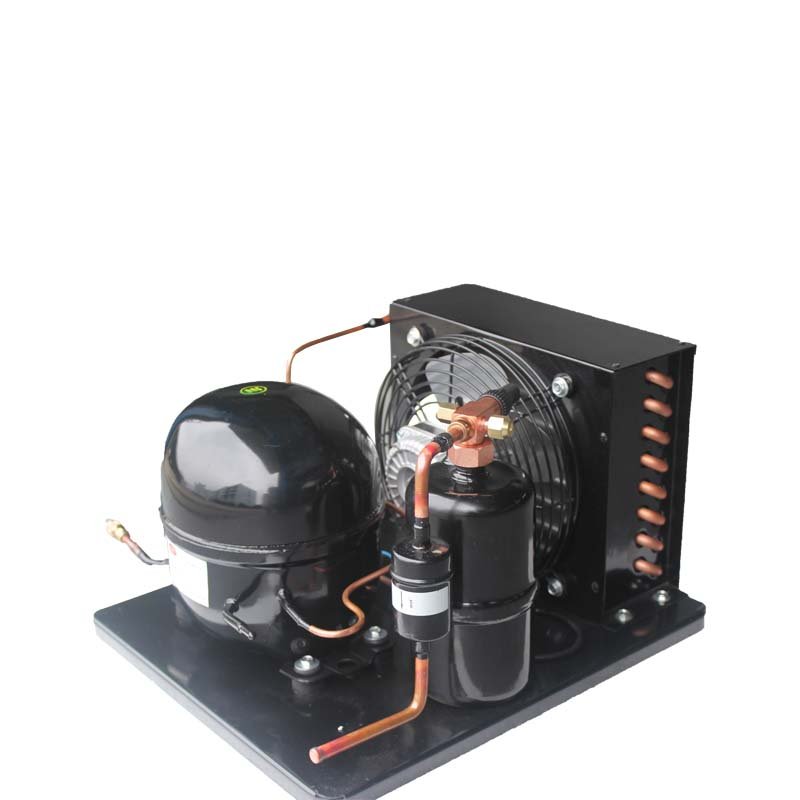 1/3 HP 110V Air Cooled Small Compressor Condensing Unit Refrigeration Unit for Kitchen, Ice Maker, Water Purifier