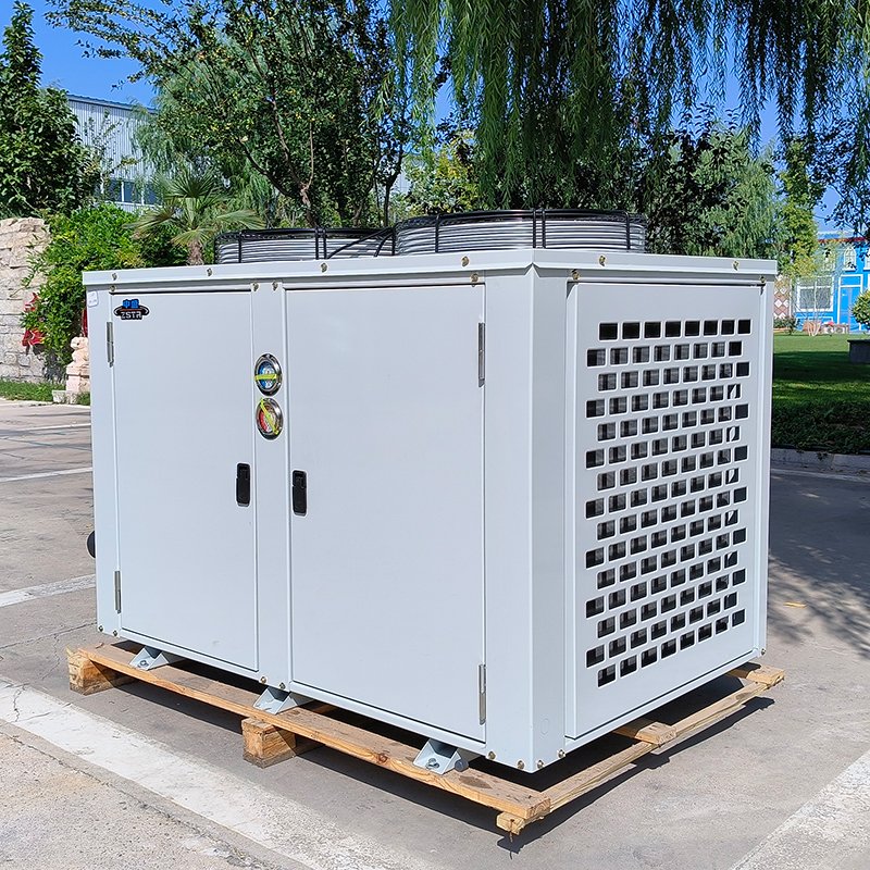 R290/380V 2 hp 3 hp 5 hp Refrigeration Condensing Unit Box Type Condensing Unit for Cold Room Storage Tecumseh Condensing Unit