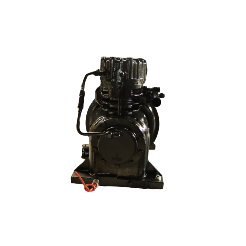 Customized Semi-Hermetic Air-Cooled Freezer Condensing Refrigeration Compressor for Cold Room for Heat Exchange