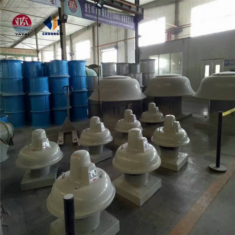 Industrial 300mm Roof Top Ventilation Fan Turbine Roof Mounting Axial Flow Ventilator China Factory Direct Price