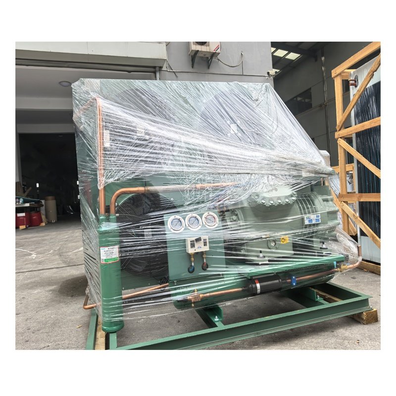 2024 Condensing Unit With Motor Cooling Fans Chiller Cold Room Compressor Refrigeration Unit Air Cooled Condens Unit