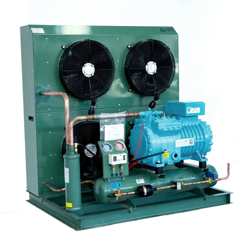 TianQiao Large Logistics Bitzer Walking Freezing Equipment Competitive Price Refrigeration Condenser Unit Automatic Motor Core
