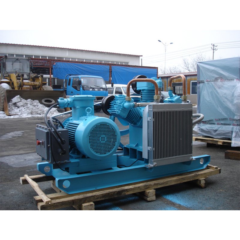 Hot Selling New Arrival 2024 Air Compressor VW 0.2/8 Piston air Compressor with 65L