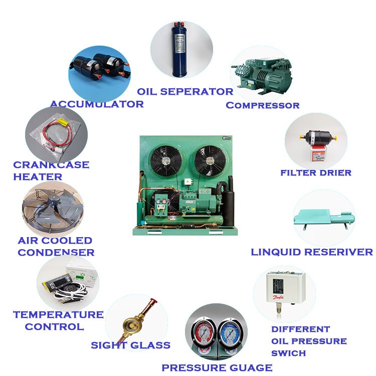 3hp 5hp 10hp Refrigeration Condensing Unit Air Cooled Condensing Unit for Freezer Room