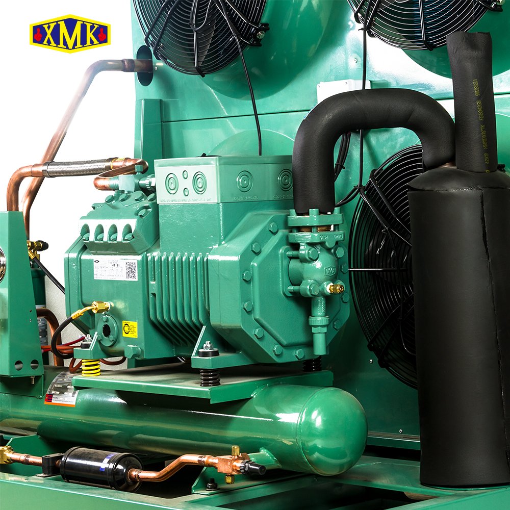 -18 Degree 10HP Low Temp Air Cooled Condensing Unit