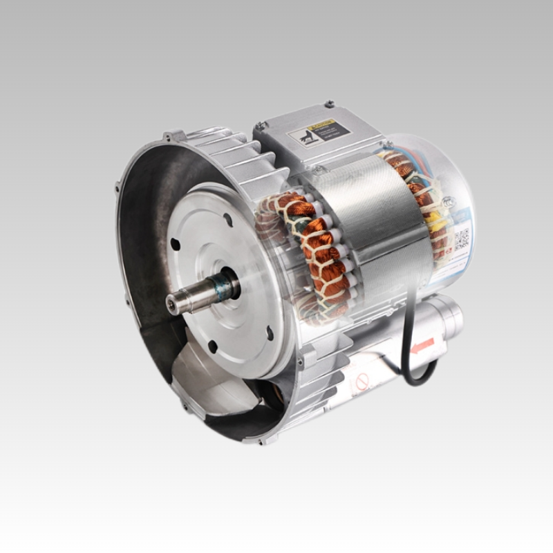 Customizable OEM Industrial High-Pressure Pneumatic Conveying System Electric Turbo Blower 220V/380V Inflatable Aluminium