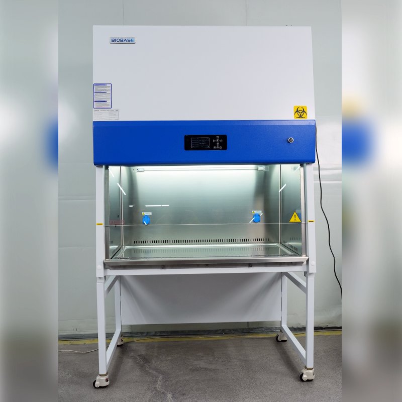 BIOBASE China Biological Safety Cabinet Class II A2 Stainless Steel Biosafety Cabinet Level 2 Microbiology Cabinet for Lab