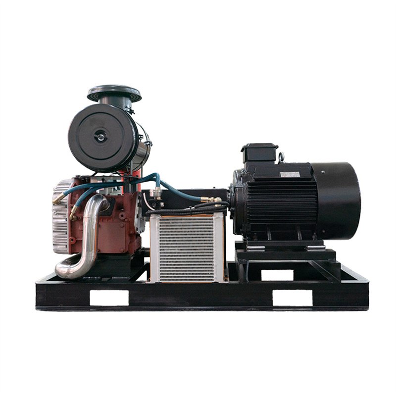 China Cheap Electric Portable Direct Driven Air Compressors Compressor for Powder Conveying