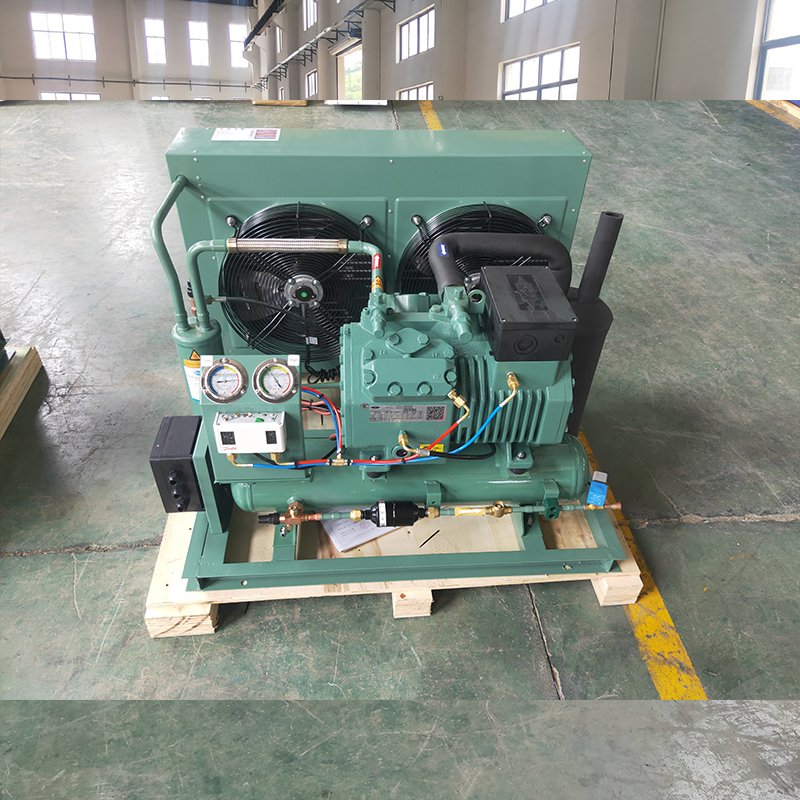 RUIXUE Low Temperature High-efficiency air Condenser Low Noise Condensing Units for Fish Cold Storage