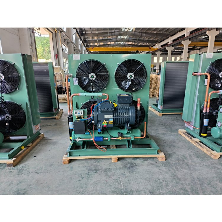 RUIXUE Low Temperature High-efficiency air Condenser Low Noise Condensing Units for Fish Cold Storage