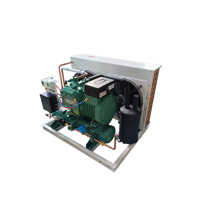 RUIXUE Factory Customized 3 5 6hp Germany Air Cooled Compressor Condensing Unit for Cold Storage
