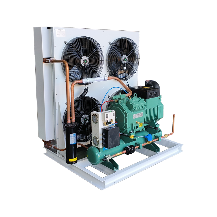 RUIXUE Factory Customized 3 5 6hp Germany Air Cooled Compressor Condensing Unit for Cold Storage
