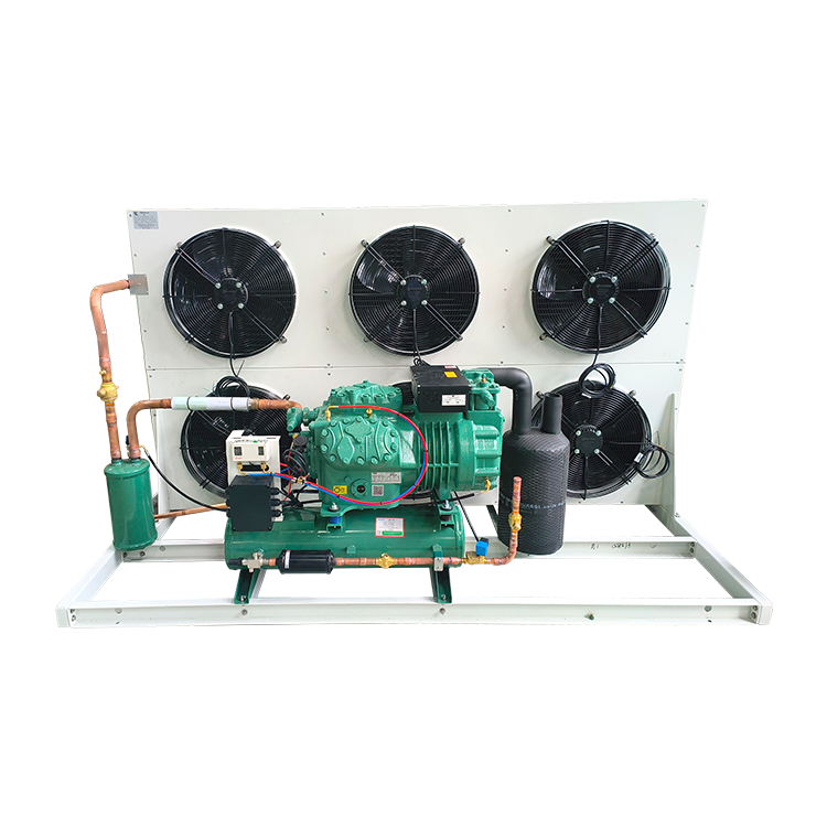 RUIXUE Factory Customized 3 5 6hp Germany Air Cooled Compressor Condensing Unit for Cold Storage