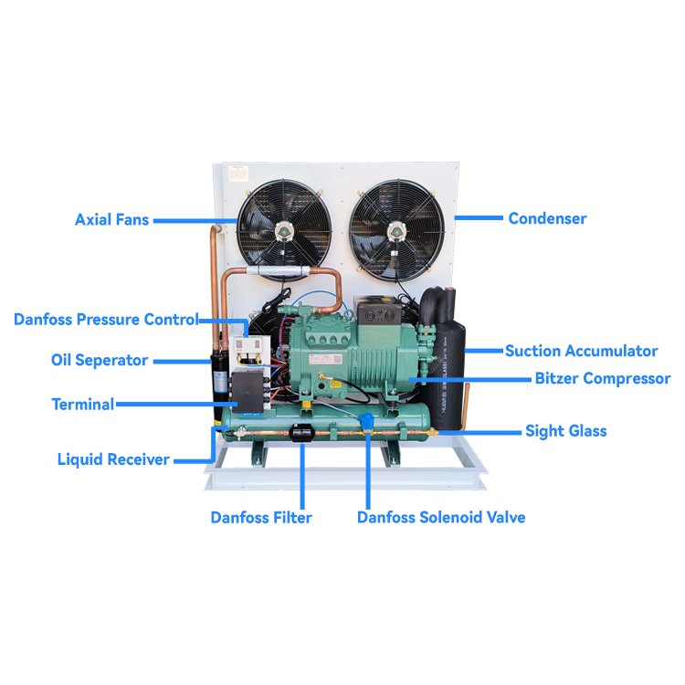 RUIXUE Factory Customized 3 5 6hp Germany Air Cooled Compressor Condensing Unit for Cold Storage