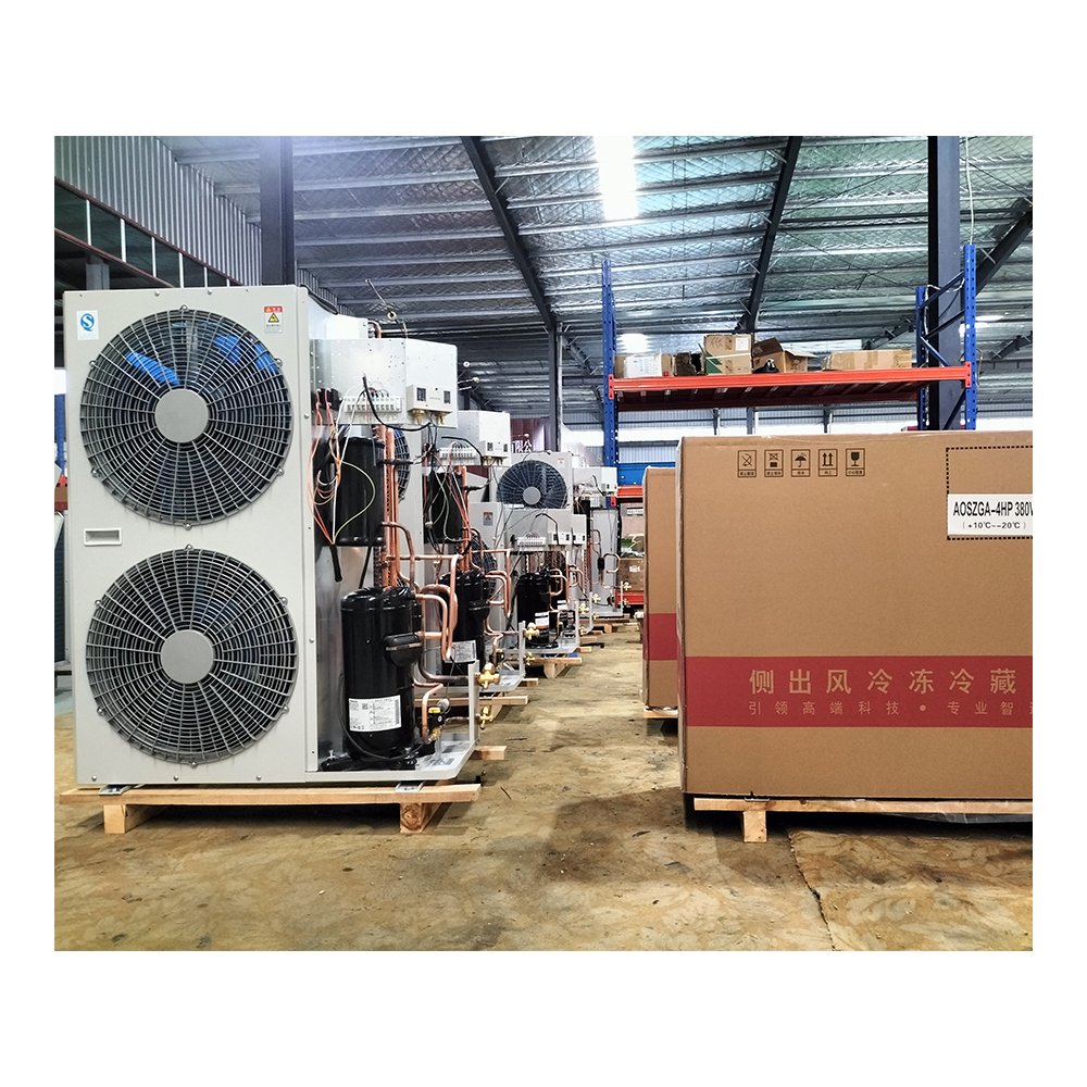 Butcher Freezer Commercial Refrigeration 5P Side-Mounted Installation Monoblock for Vegetable Refrigeration Equipment