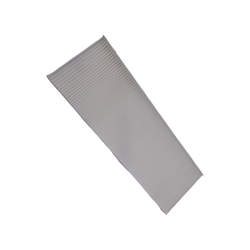 Heavy Duty European Truck Parts L-, P-, G-, R-, S-Serie Cabin Air Filter 2095029 Cabin Cabin air Filter