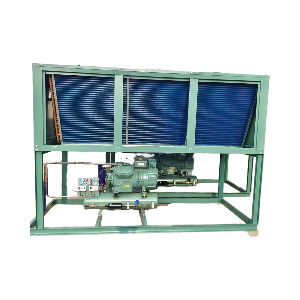 4DES 540S Cold Room Blast Freezer 10hp Evaporative Piston Monoblock 4hp Condenser Unit Refrigeration