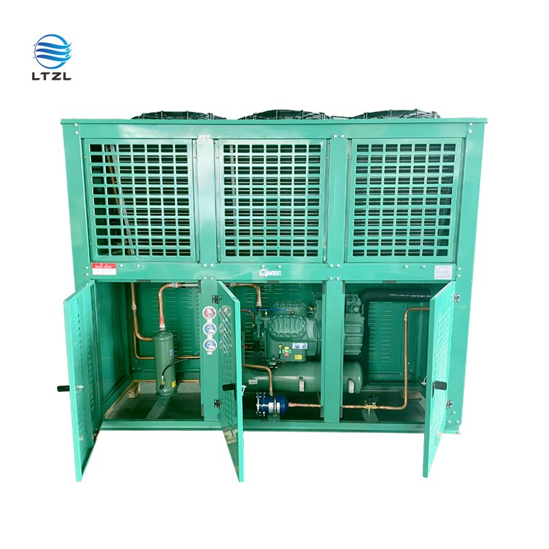 Condensing Unit Cold Storage Energy-saving Refrigeration Unit air Cooler for Indoor air Cooling Quick Refrigeration