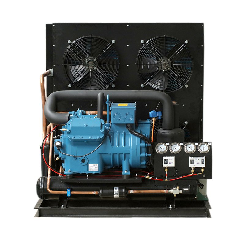 10HP Air Cooled Condensing Unit With Two-stage Compressor 2V10-42.29Y 3W001056 for Cold Room