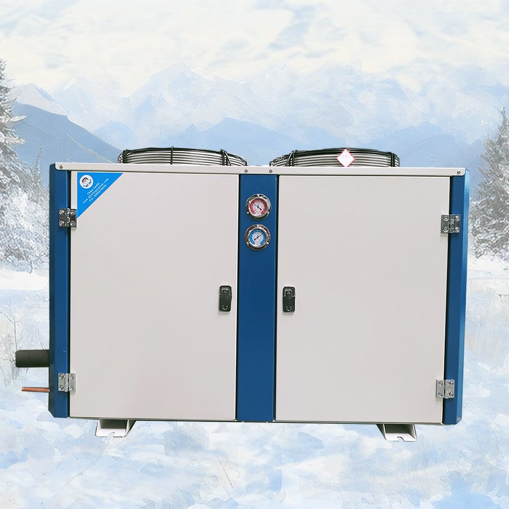 Customized Chinese Tianshun Brand Industrial Piston Refrigeration Compressor Condensing Unit