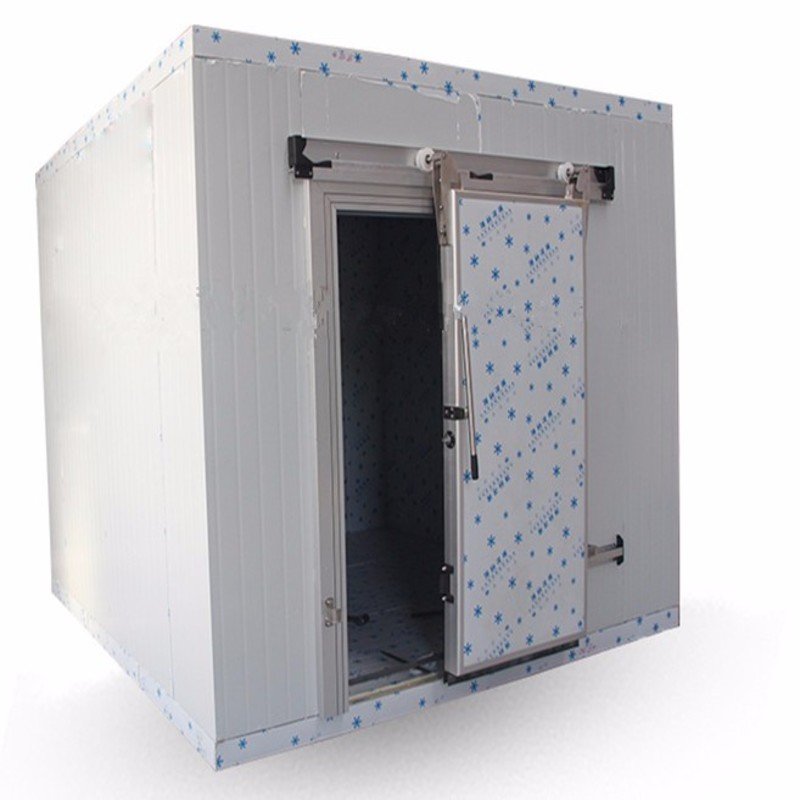 Low Cost Custom Mini Cold Storage for Fruits and Vegetables Small Freezer for Bedroom Cold Room