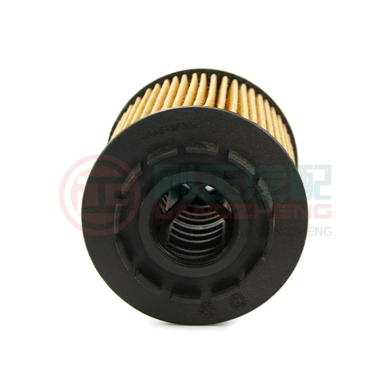 Car Engine Oil Filter Auto Parts 1017110XEN01-PT for Great Wall HAVAL H6