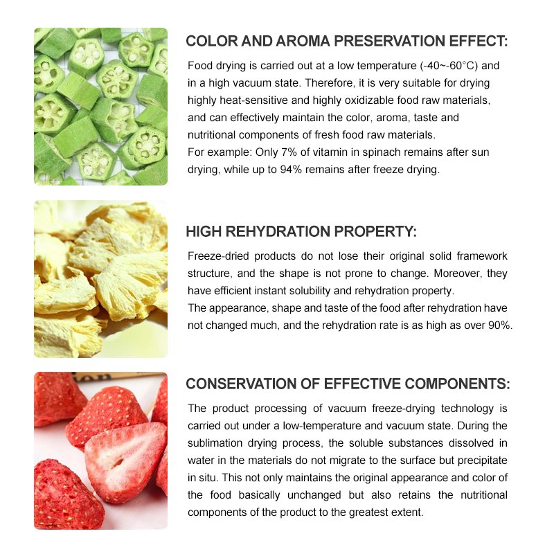 Banana Fruit Freeze Dryer Sublimation Condensation Drying