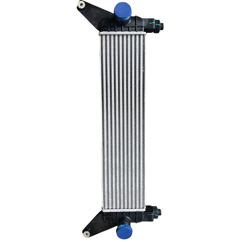 #C00063091 Excellent Cooling Capacity Original Offical Genuine Auto Body Parts Maxus Car Intelcooler