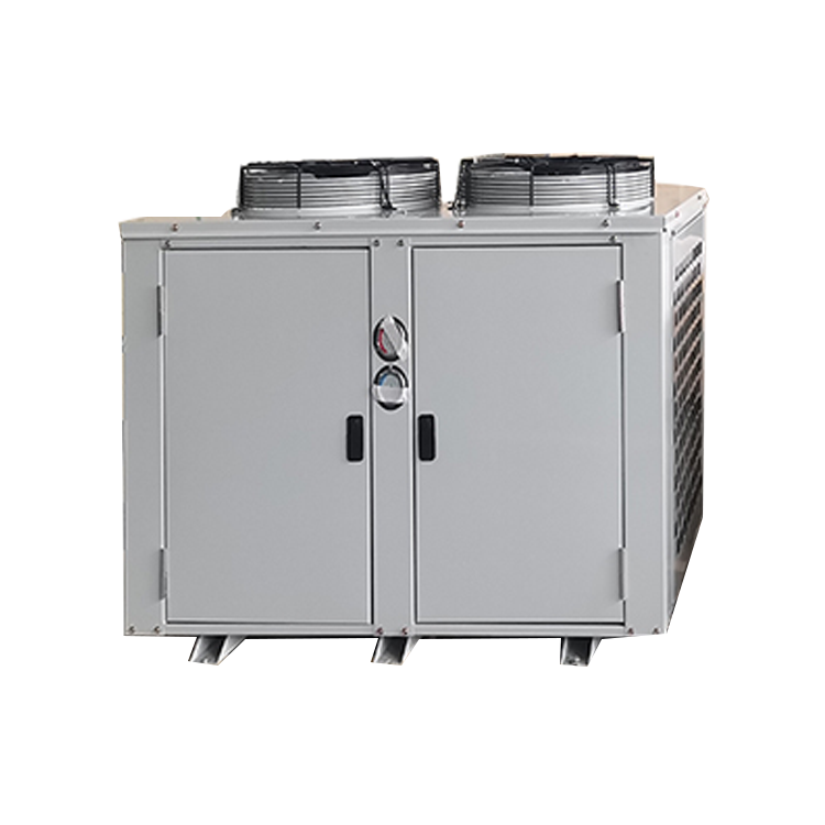 Cold Storage Supporting Equipment Refrigeration Condenser Unit Air-cooled Freezer Room Condensing