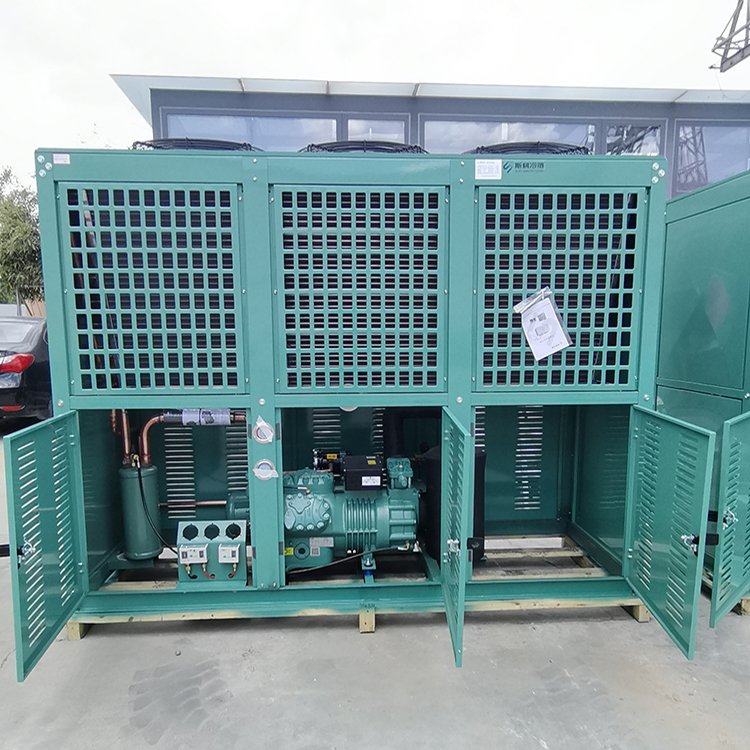Cold Storage Supporting Equipment Refrigeration Condenser Unit Air-cooled Freezer Room Condensing