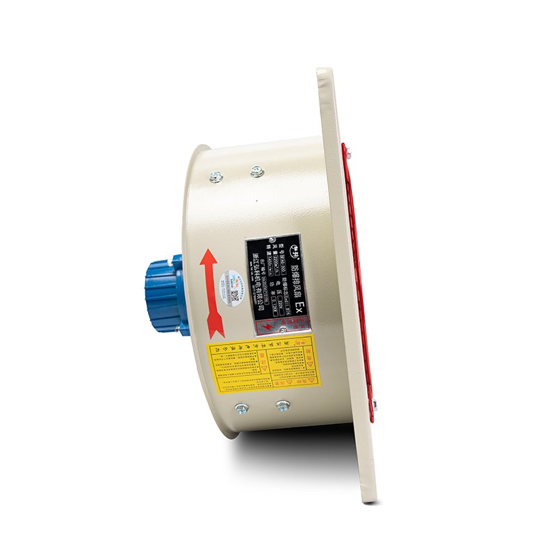 Hongke Factori Price BFAG-500 White Low Noise Industrial Fan 370W Explosion-proof 500mm Large Hand Fan