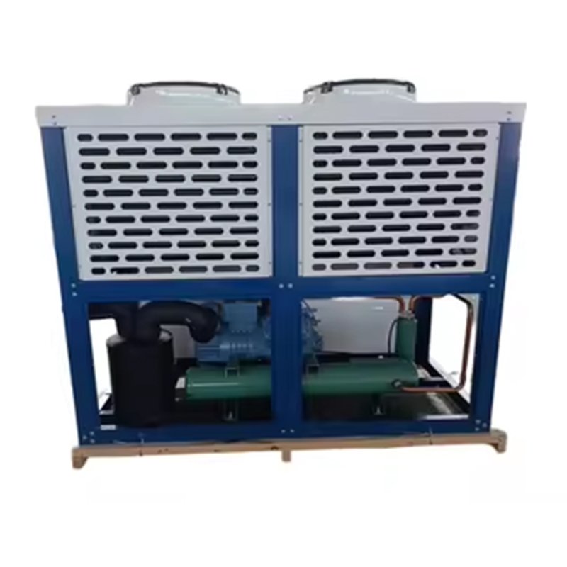 BITZER Box Type Compressor Condensing Unit Automatic Refrigeration Equipment for Cold Storage Home & Restaurant Use