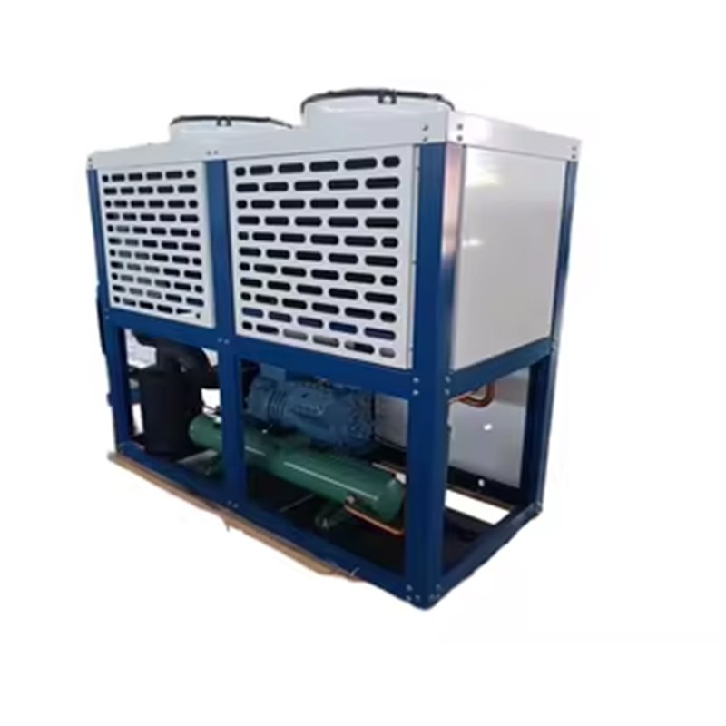 BITZER Box Type Compressor Condensing Unit Automatic Refrigeration Equipment for Cold Storage Home & Restaurant Use
