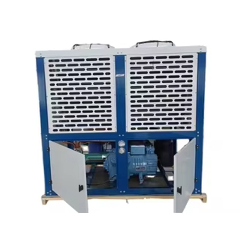 BITZER Box Type Compressor Condensing Unit Automatic Refrigeration Equipment for Cold Storage Home & Restaurant Use