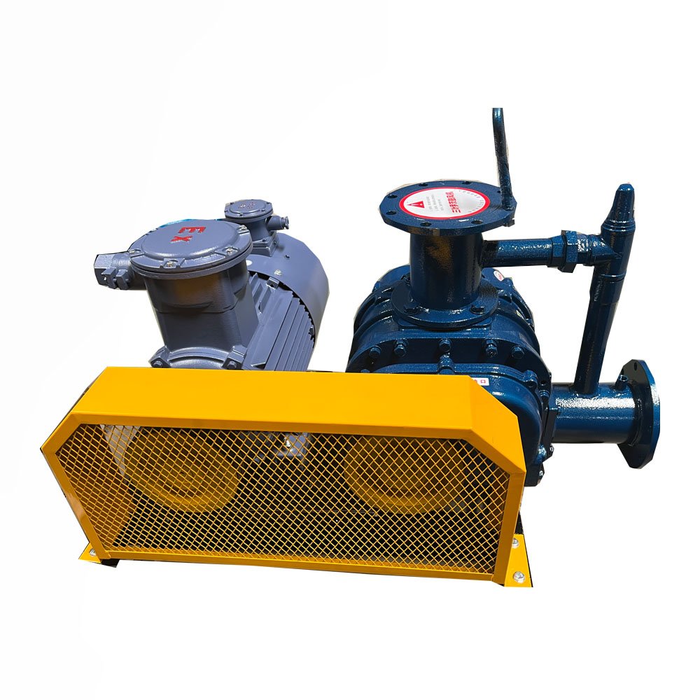 Stainless Steel Roots Rotary Three-Lobe Roots Blower