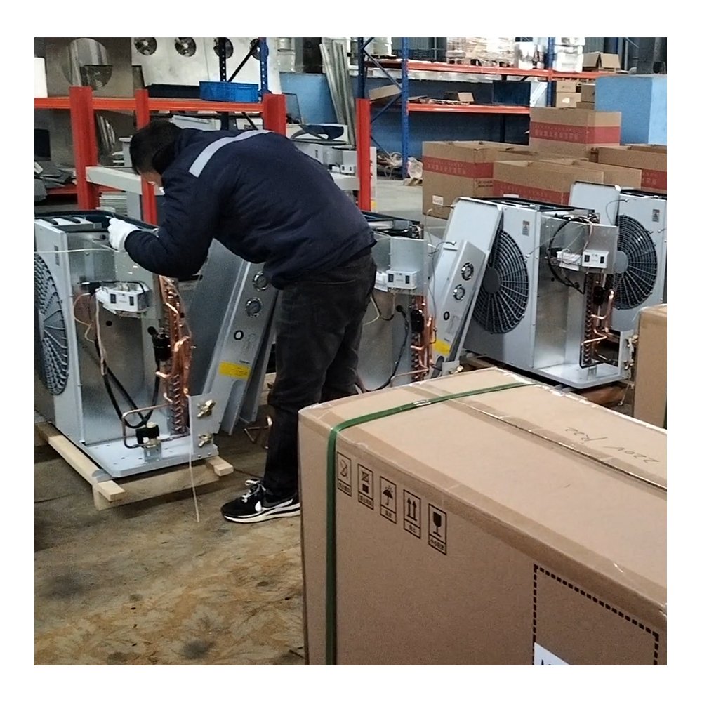 Compressor with Condencer Unit All-in-one Condensing Unit Emerson Refrigeration Condensing Unit for Freezer