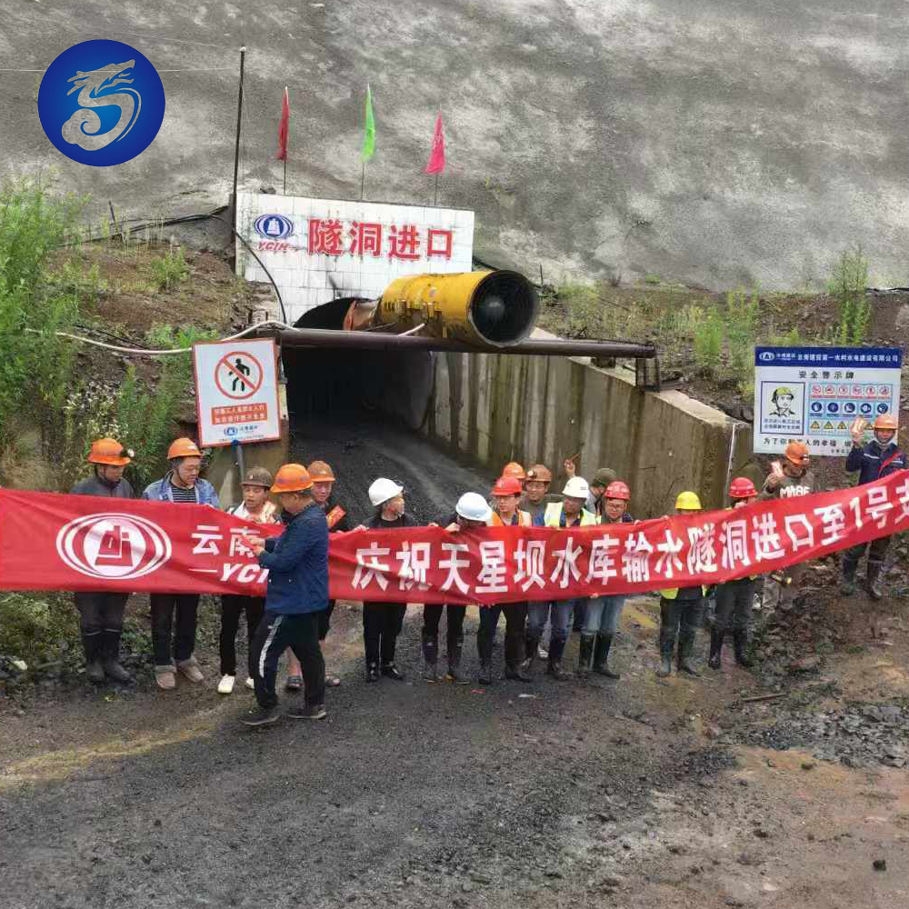 China Factory Good Price Underground Tunnel Construction Ventilation Blower Fan/smoke Dust Exhaust Wind Tunnel Fan/jet Fan