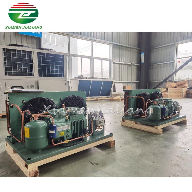 Jialiang Freezer Equipment Cold Room Condenser Unit Compressor Condensing Unit