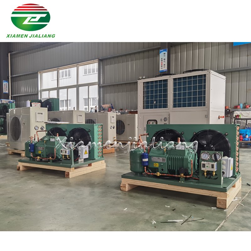 Jialiang Freezer Equipment Cold Room Condenser Unit Compressor Condensing Unit