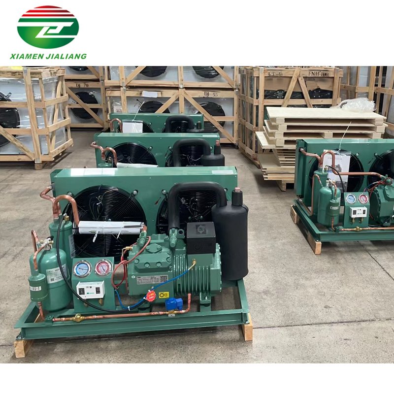 Jialiang Freezer Equipment Cold Room Condenser Unit Compressor Condensing Unit