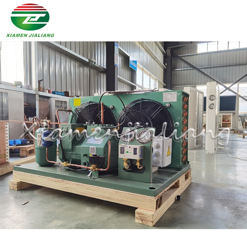 Jialiang Freezer Equipment Cold Room Condenser Unit Compressor Condensing Unit