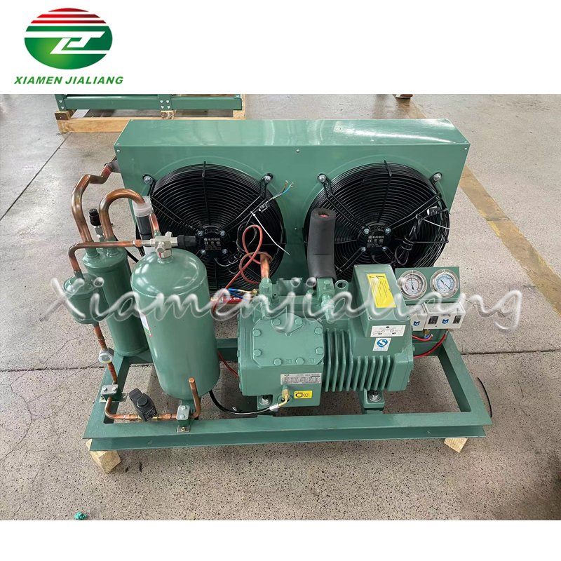Jialiang Freezer Equipment Cold Room Condenser Unit Compressor Condensing Unit