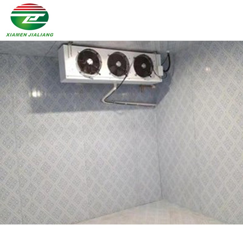 Mobile Small Coldroom 4 Meters Cold Room 10Ft Solar Power Container Cold Room