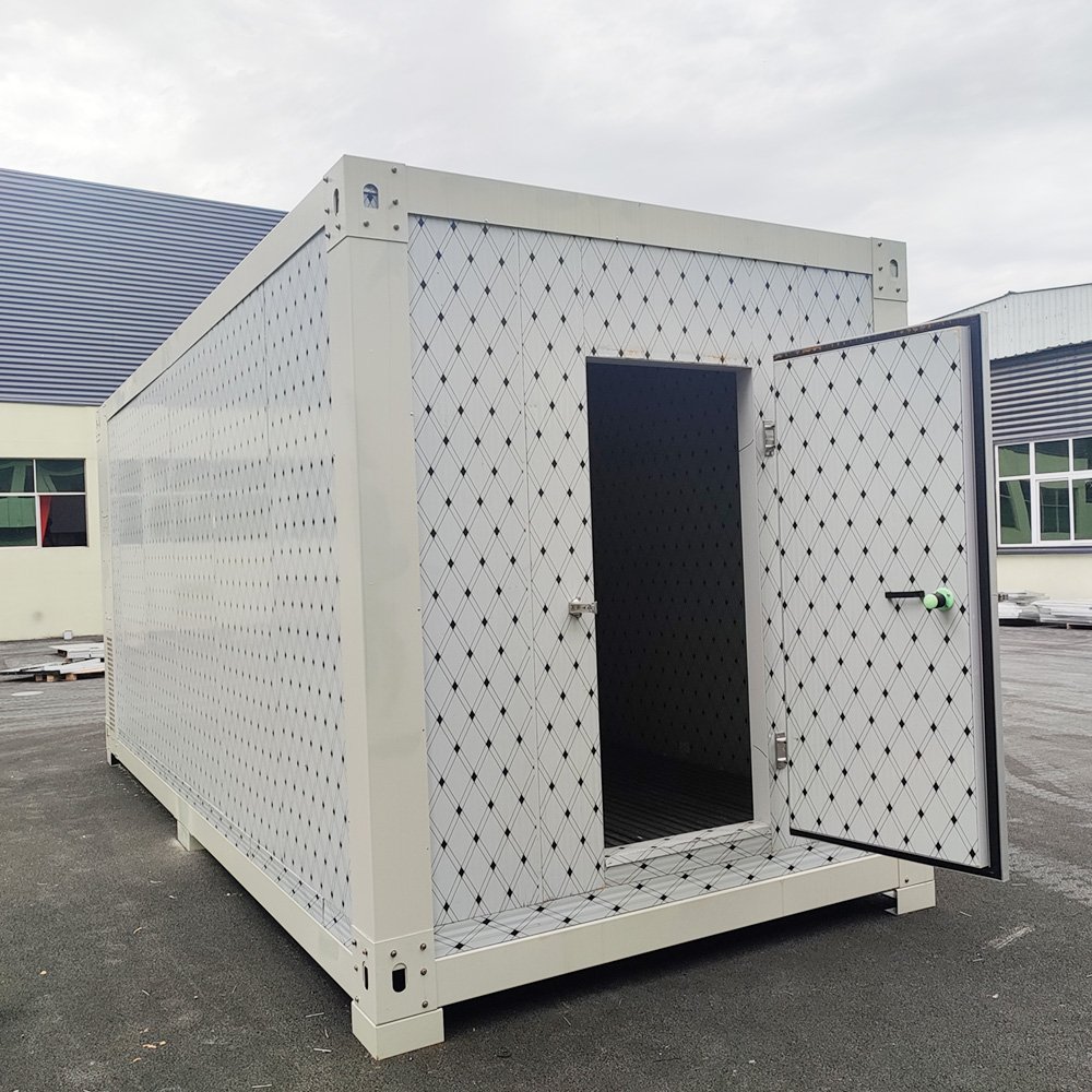 Cold Room Customized Movable Blast Freezer Icecream and Flower Freezer Mobile Cold Room