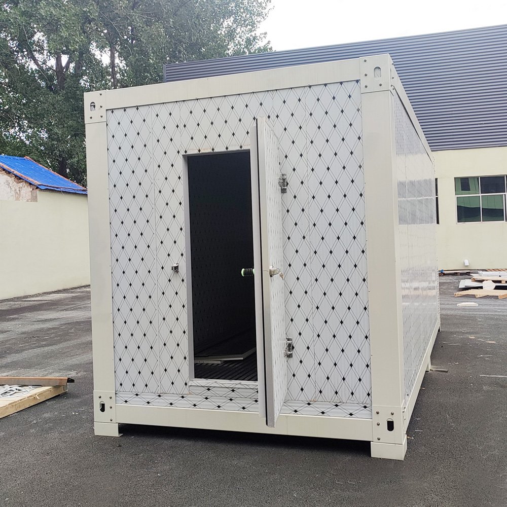 Cold Room Customized Movable Blast Freezer Icecream and Flower Freezer Mobile Cold Room