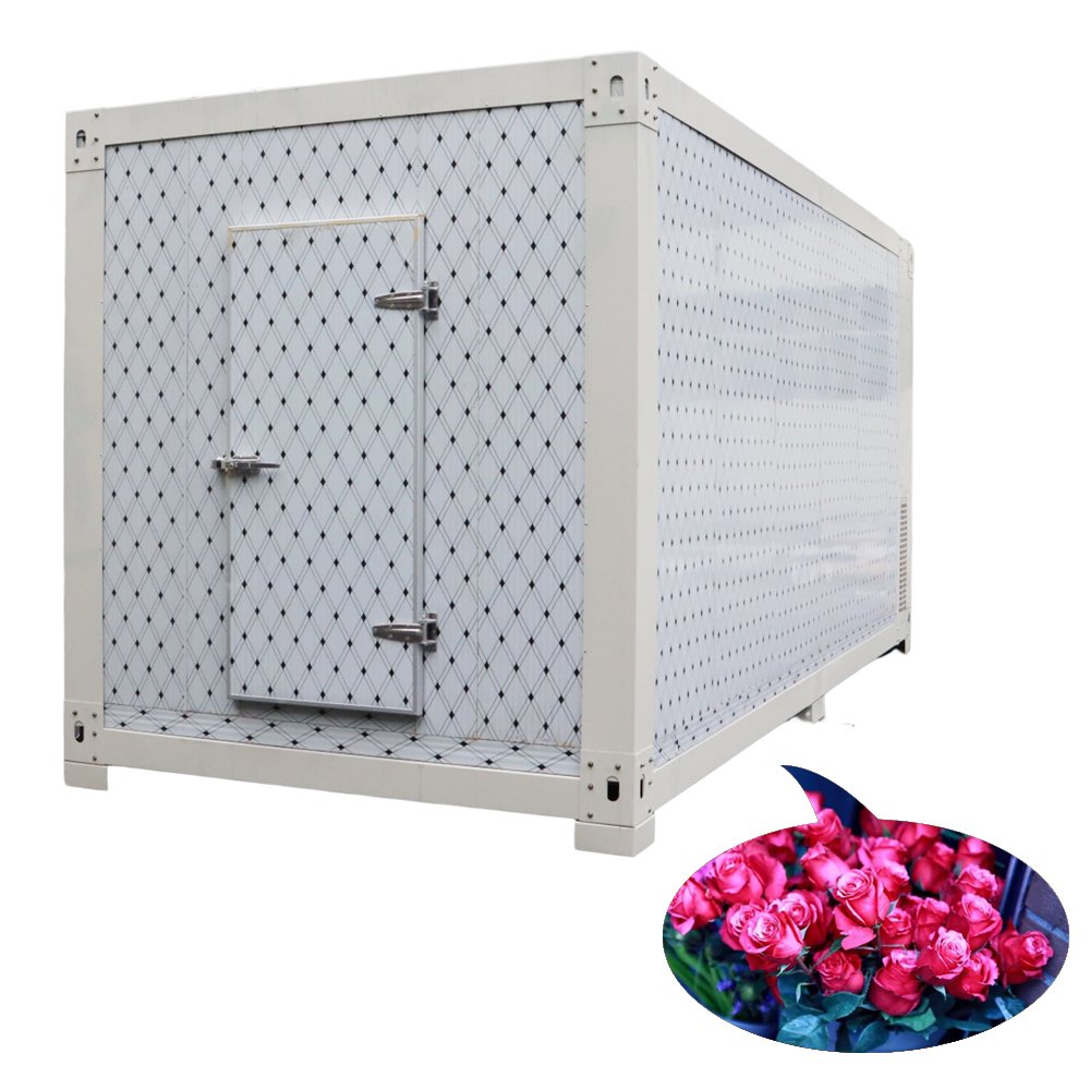 Cold Room Customized Movable Blast Freezer Icecream and Flower Freezer Mobile Cold Room