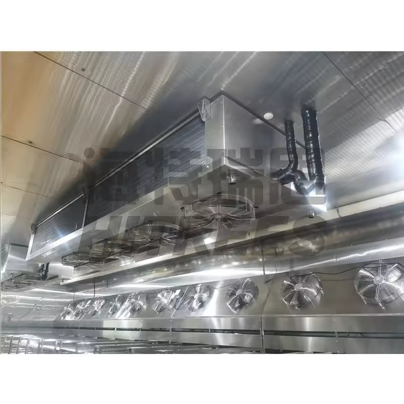 500kg 2000kg 5000kg Frozen Fish Food Defrosting Machine / Thawing Room /Defroster Machine for Meat