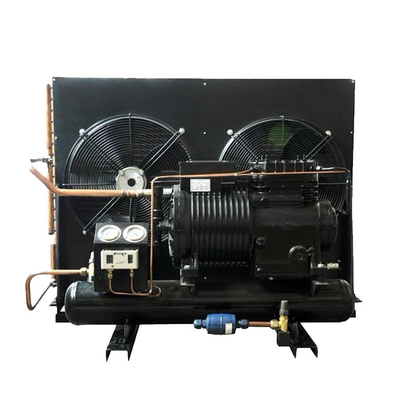Outstanding Quality Air-cooled Condensing Units C33-AL 3HP Air-cooled Units